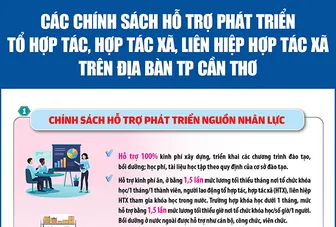 [Infographics] Chính sách hỗ trợ phát triển tổ hợp tác, hợp tác xã, liên hiệp hợp tác xã