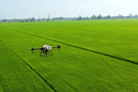 Tập trung sản xuất nông nghiệp an toàn, nâng cao chất lượng