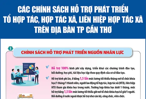 [Infographics] Chính sách hỗ trợ phát triển tổ hợp tác, hợp tác xã, liên hiệp hợp tác xã