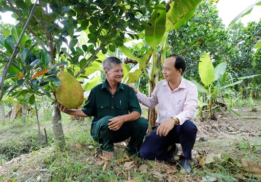 Đồng hành cùng người có công phát triển sinh kế