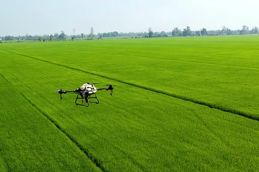 Tập trung sản xuất nông nghiệp an toàn, nâng cao chất lượng