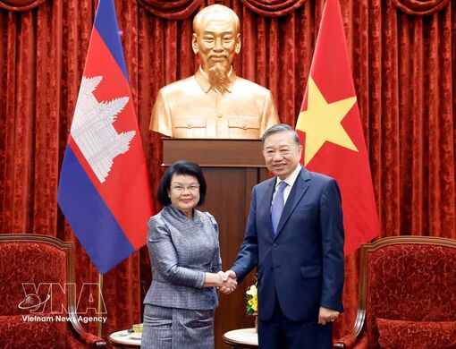 Top Vietnamese leader receives Cambodian National Assembly President