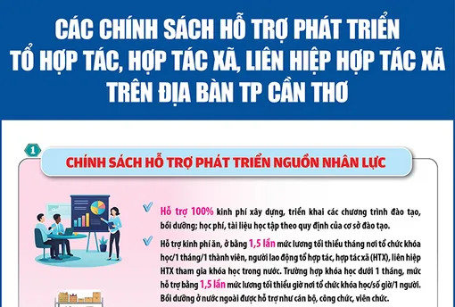 [Infographics] Chính sách hỗ trợ phát triển tổ hợp tác, hợp tác xã, liên hiệp hợp tác xã