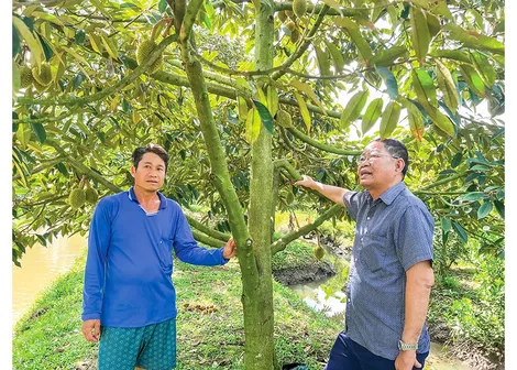 Cần nhân sự chất lượng cao hỗ trợ hợp tác xã phát triển trong giai đoạn mới