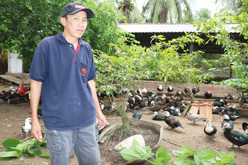 ចិញ្ចឹម​ទា​កាប៉ាយក​ស៊ុត​ ទិស​ដៅ​បង្កើន​ប្រាក់​ចំ​ណូល​លំ​នឹង​
