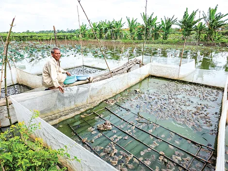 Dạo quanh thị trường ngày 31-7