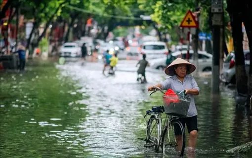 Thời tiết ngày 31/7: Mưa dông bao phủ nhiều khu vực