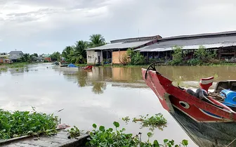 Câu đố xưa của người bình dân Nam Bộ
