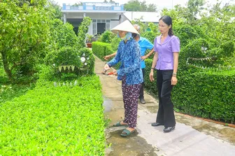 Sức hút từ những mô hình thiết thực