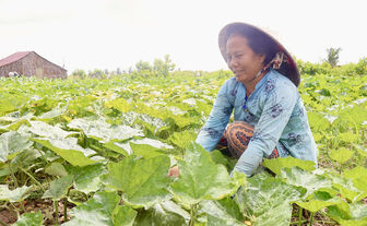 ពង្រីក​ប្រ​សិទ្ធ​ភាព​ក្រុម​សហ​ការ​ ទិស​ដៅ​បង្កើន​ប្រាក់​ចំ​ណូល​ចីរ​ភាព​ជូន​សមា​ជិក​