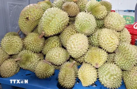 Tháo gỡ điểm nghẽn, mở rộng cửa cho trái cây Việt vào thị trường Trung Quốc