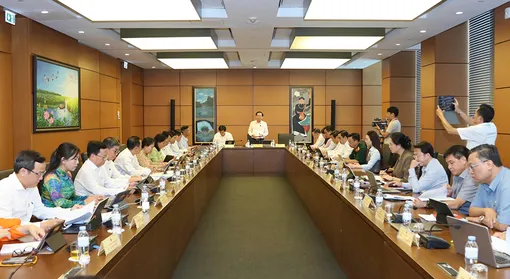 Cần quy định rõ trách nhiệm các chủ thể trong thương mại điện tử, bổ sung cơ chế kiểm soát việc ứng dụng AI, hạn chế tối đa việc giao quy định chi tiết cho văn bản dưới luật