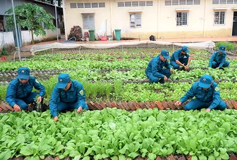 Thi đua tăng gia sản xuất