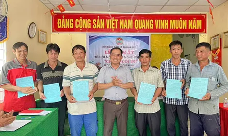 Thành lập mới 124 chi, tổ hội nông dân nghề nghiệp