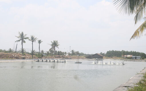 ឡុង​វិញ ពង្រីក​ឧត្ដម​ភាព,​ជល​ផល​តំ​បន់​ឆ្នេរ​សមុទ្រ​
