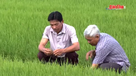 “Đảng với Dân - Dân với Đảng” phát huy sức mạnh đoàn kết