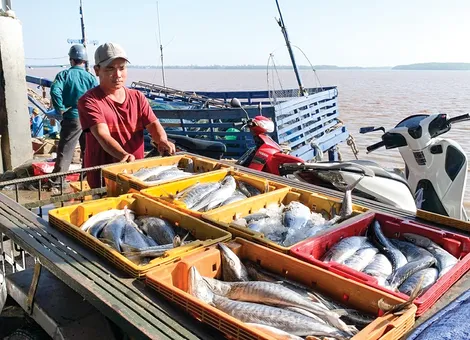 Nâng cao hiệu quả chống khai thác IUU