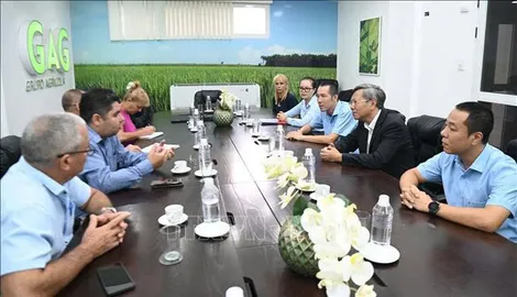 Việt Nam bàn giao gạo sản xuất tại Cuba cho đối tác