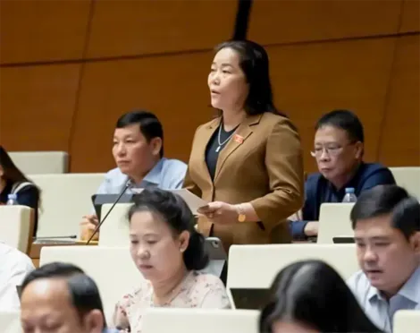 Bà Lê Thị Thanh Lam, Phó trưởng đoàn chuyên trách Đoàn Đại biểu Quốc hội TP Cần Thơ, góp ý về dự án Luật sửa đổi, bổ sung một số điều của Luật Hải quan