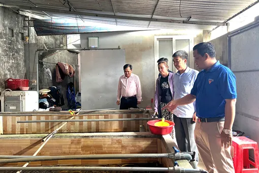 Phường Ngã Bảy triển khai hiệu quả vốn vay ưu đãi đến hộ dân