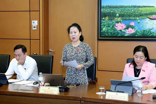 Bà Tô Ái Vang, Phó trưởng đoàn chuyên trách Đoàn Đại biểu Quốc hội TP Cần Thơ, góp ý về việc thành lập TP Quảng Ninh