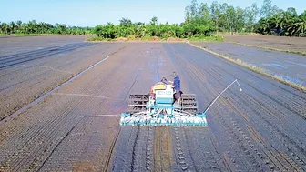 Chủ động theo dõi sát diễn biến thời tiết, sinh vật gây hại trên cây trồng