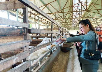 Lợi ích kép từ mô hình du lịch nông nghiệp