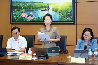 Bà Tô Ái Vang, Phó trưởng đoàn chuyên trách Đoàn Đại biểu Quốc hội TP Cần Thơ, góp ý dự án Luật Phát triển đô thị