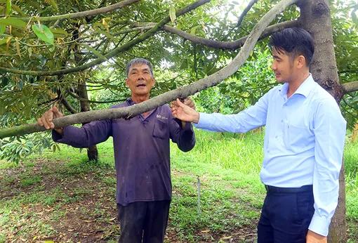 “Hạt nhân” chuyển đổi kinh tế nông thôn