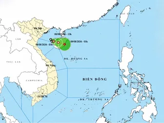 Thời tiết ngày 8/8: Áp thấp nhiệt đới gây biển động mạnh, Trung Bộ và Nam Bộ có mưa dông