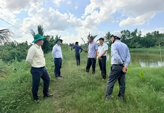 Chủ động phòng, chống triều cường