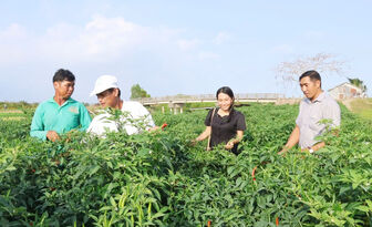 រួម​ដំ​ណើរ​ជា​មួយ​កសិ​ករ​ខ្មែរ​ធ្វើ​មាន​
