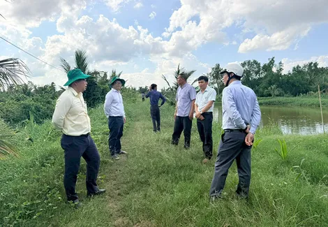 Chủ động phòng, chống triều cường