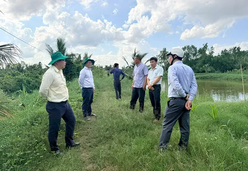 Chủ động phòng, chống triều cường