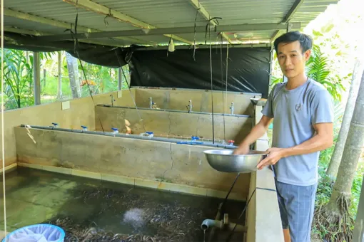Anh Võ Hoàng Nam thành công với mô hình sản xuất lươn giống