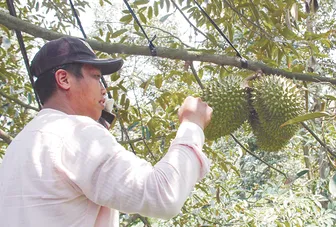 “Hạt nhân” của khoa học công nghệ, đổi mới sáng tạo