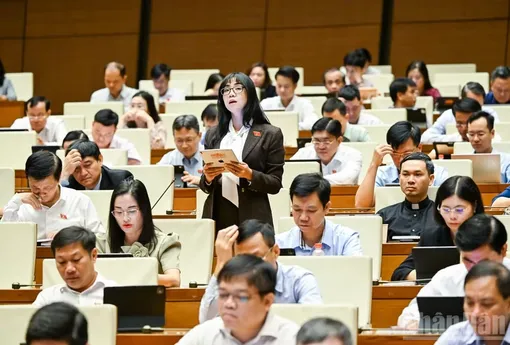 Đại biểu Quốc hội đề xuất siết giám sát tài sản mã hóa để kiểm soát rủi ro rửa tiền
