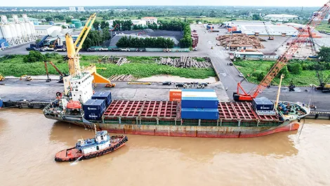Sẵn sàng cho tuyến vận tải container quốc tế trực tiếp từ Trung Quốc đến TP Cần Thơ