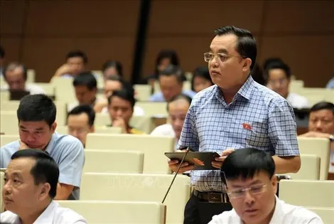 Đề nghị thiết lập "hàng rào an toàn" cho hòa giải trực tuyến