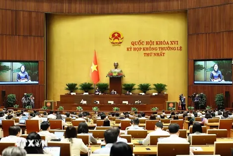 Đề nghị xem xét cấm sử dụng hòa giải với các vụ bạo lực gia đình, xâm hại trẻ em