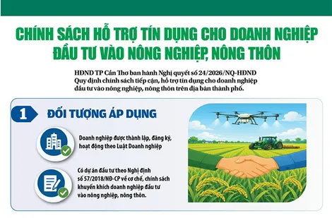 [Infographics] Chính sách hỗ trợ tín dụng cho doanh nghiệp đầu tư vào nông nghiệp, nông thôn