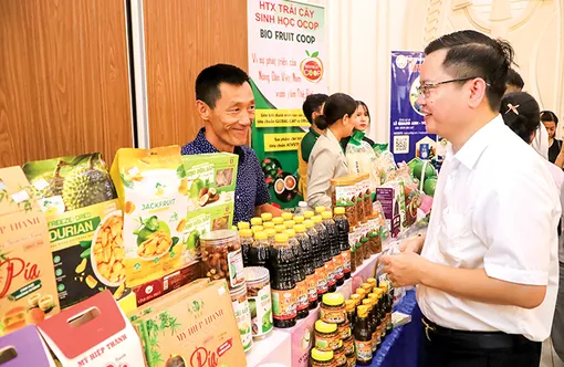 Đẩy mạnh liên kết, mở rộng không gian tăng trưởng