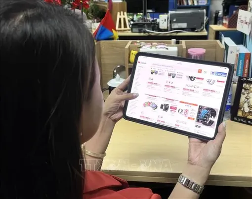 Thu hẹp khoảng cách số trong thương mại điện tử với tên miền .VN