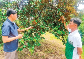 Động lực thúc đẩy tăng trưởng kinh tế địa phương