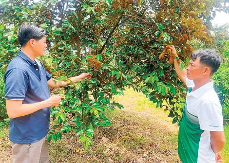 Động lực thúc đẩy tăng trưởng kinh tế địa phương
