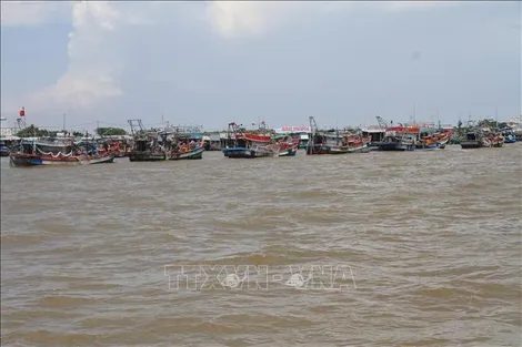 Kế hoạch khắc phục khuyến nghị của EC về chống khai thác IUU​