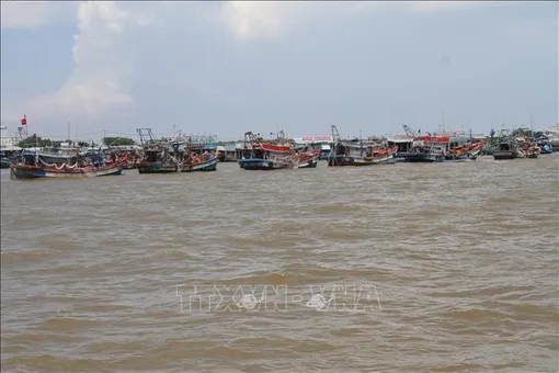 Kế hoạch khắc phục khuyến nghị của EC về chống khai thác IUU​