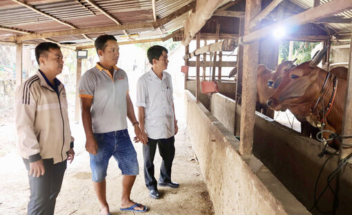 ផ្លាស់​ប្តូរ​ផ្នត់​គំ​និត​ផលិត​ផ្តើម​ពី​ទម្រង់​ចិញ្ចឹម​គោ​វិល​ជុំ
