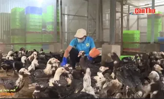 Bức tranh “Nông thôn mới vươn mình”