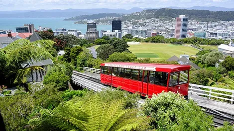 Giới thượng lưu Mỹ dẫn đầu xu hướng xin “visa vàng” đến New Zealand